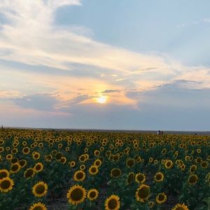 Meet your Posher, Estela